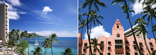 �n���C�ʐ^