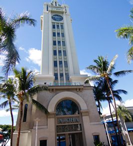 �n���C�����̃T����