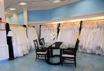 �n���C�����̃T����