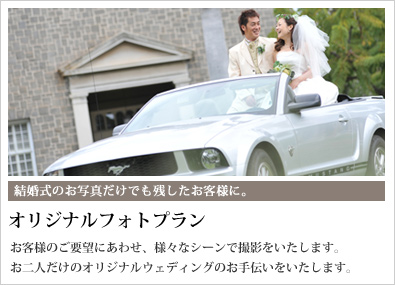 �I���W�i���t�H�g�E�F�f�B���O