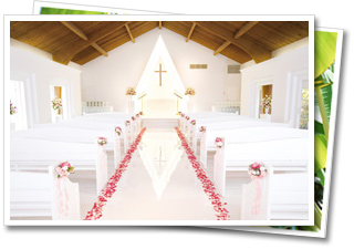 �v���}���G����