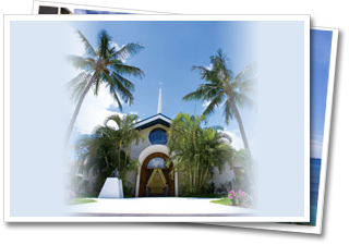 �v���}���G����